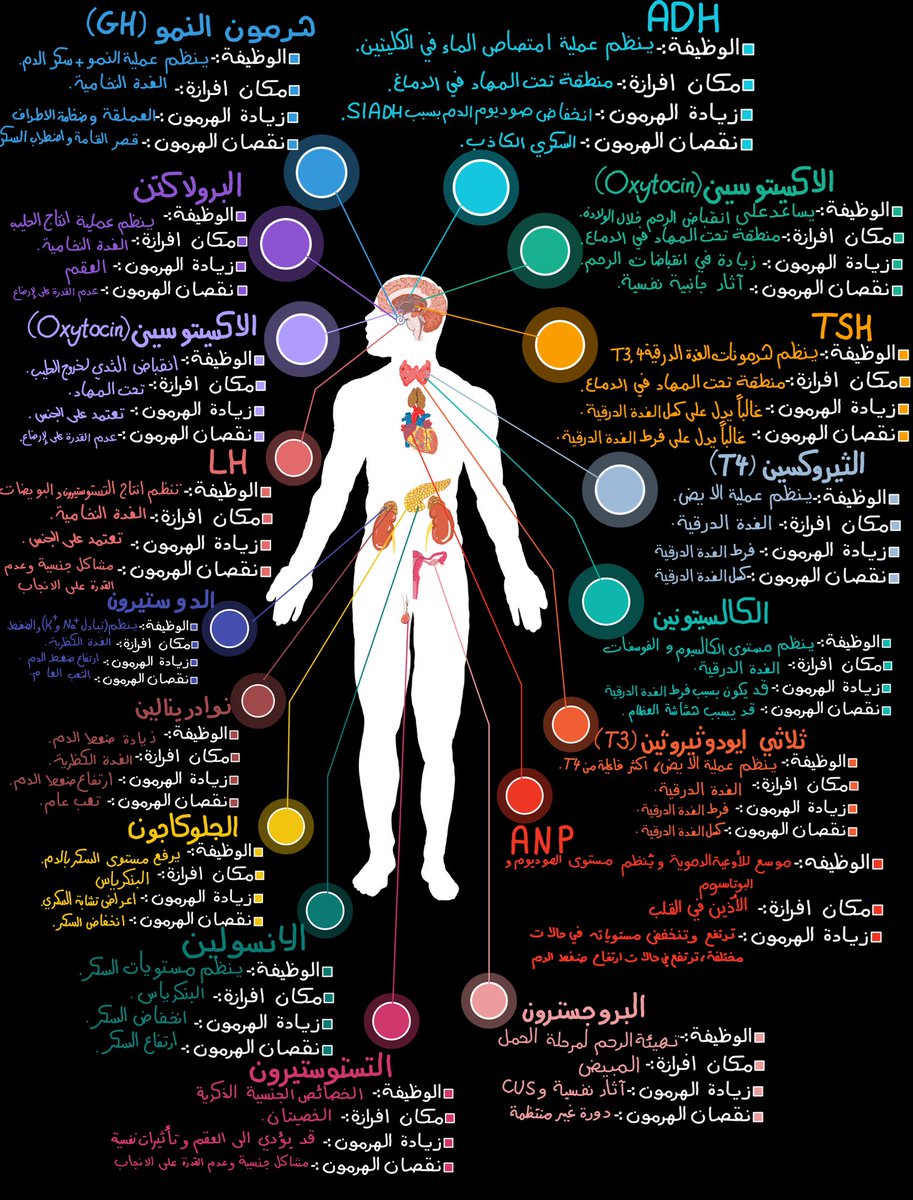 هوايتي هي لم المحاضرات بصفحة وحدة ❤️