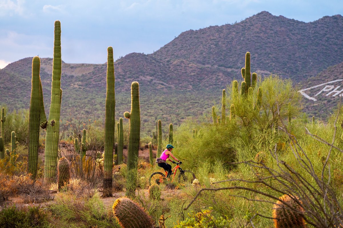 Some trails are better experienced on a bike. 🚲 Tap to see what biking trails in Arizona have to offer: bit.ly/3Ehk5cG 📍Usery Mountain Regional Park 📷: An Pham