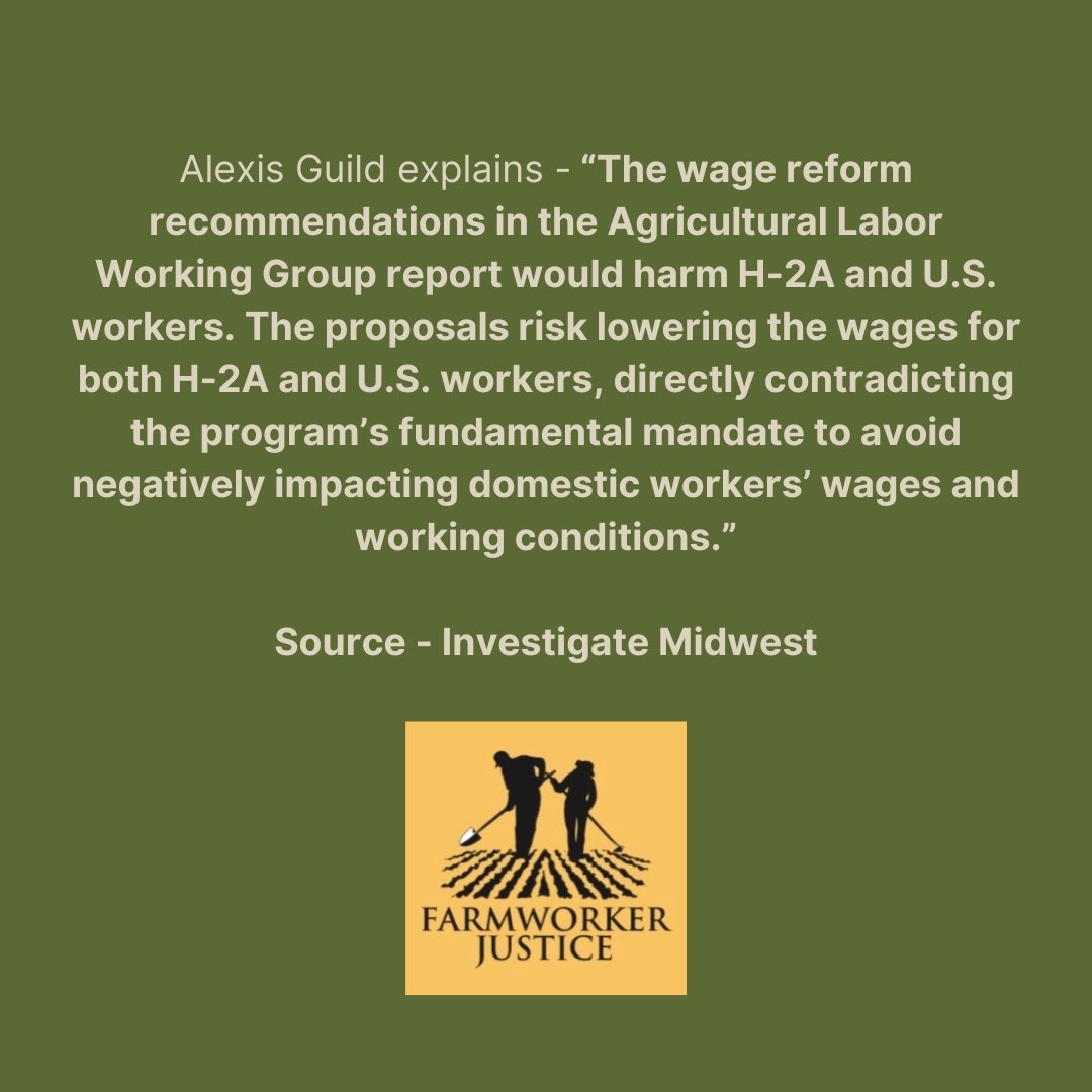 Alexis Guild, Vice President of Strategy and Programs, shared with @IMidwest concerns about the House Agricultural Labor Working Group’s recommendations for the H-2A program. See full story below: investigatemidwest.org/2024/03/27/far… #farmworkerjustice