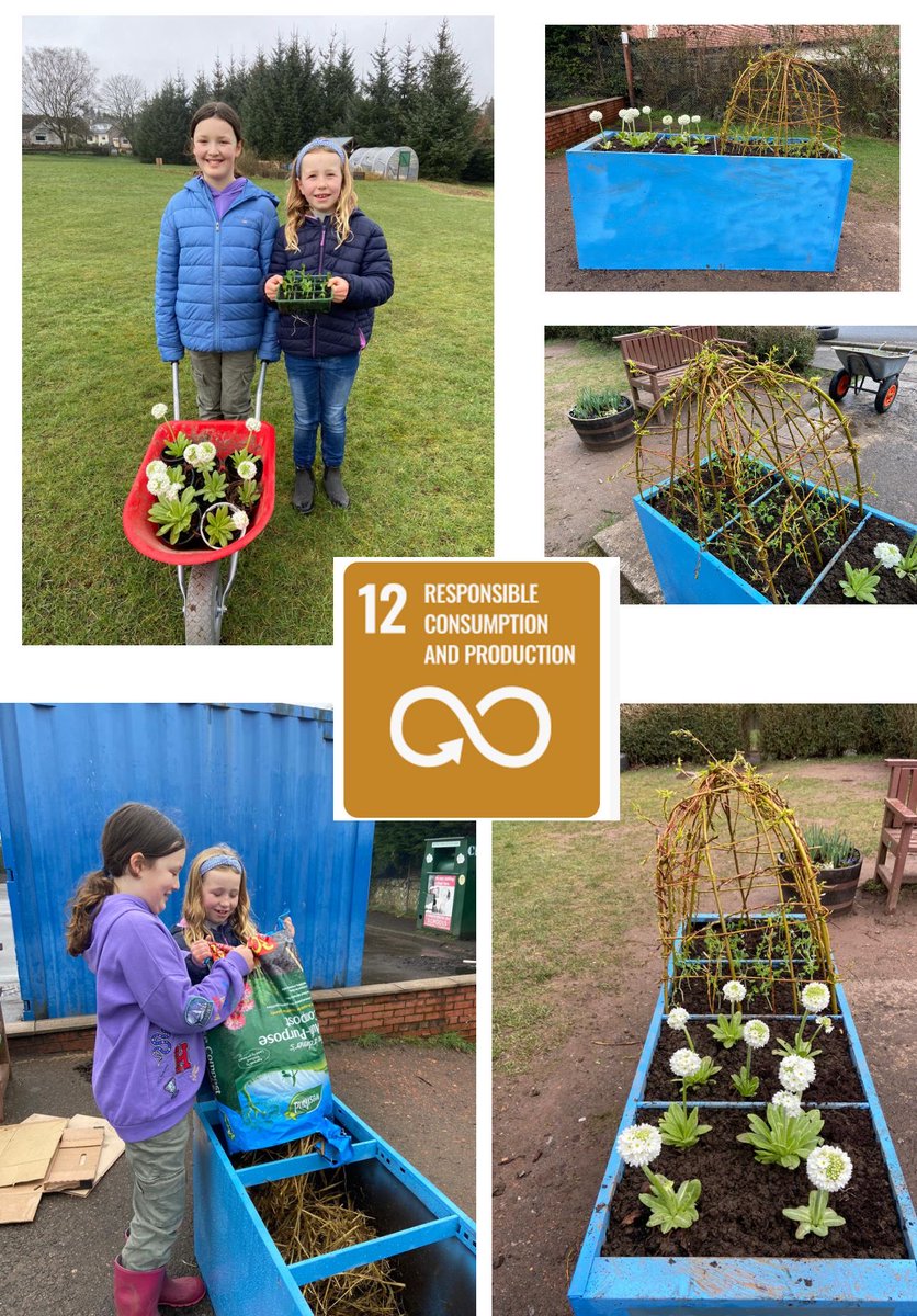 Thanks to our amazing parent volunteers and pupils who have added a new upcycled planter to the playground. The planter was originally a filing cabinet. Now it’s filled with lovely flowers and peas which we will all be able to harvest and try! #SDG12 #ThisisLfS