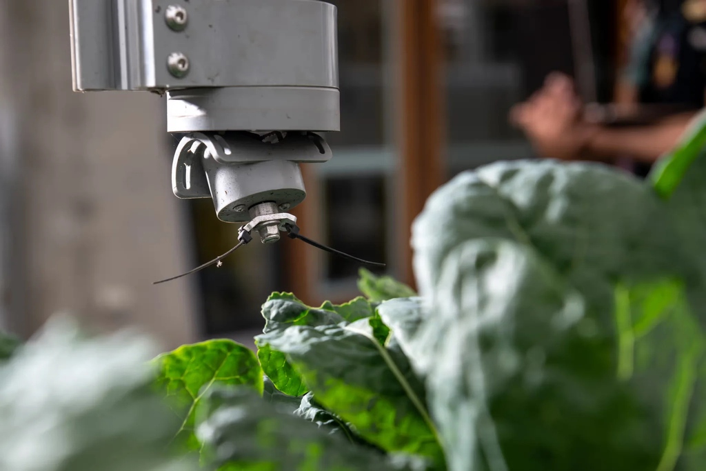 'Astronauts won’t need to be agronomists to produce fresh salad vegetables – space farming will be done by AI.' Read more in The Guardian about how #FarmBot is being piloted by Melbourne researchers to grow food in space: theguardian.com/food/2024/jan/…