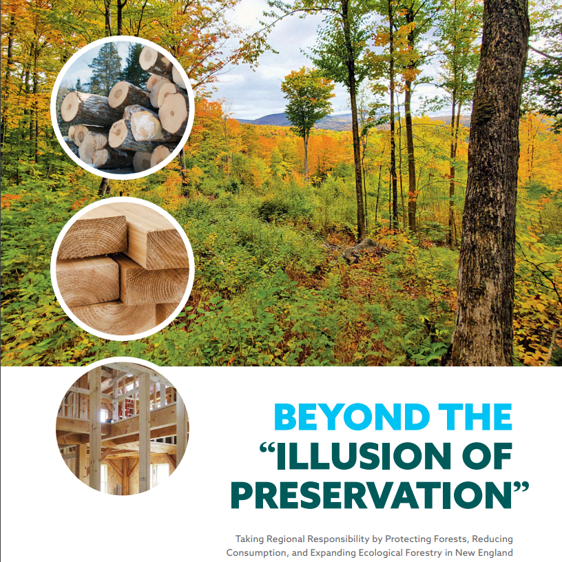 UVM_RSENR's tweet photo. 'Beyond the “Illusion of Preservation”' highlights how New England can expand #forest protections &amp; sustainably meet wood product needs. Co-authored by Conservation Science Partners, @uvmvermont, @HarvardForest, @UMassAmherst, &amp; @BrandeisU. https://t.co/zjykbVaWFj @wwfc_conserve https://t.co/DwwcB4ligJ