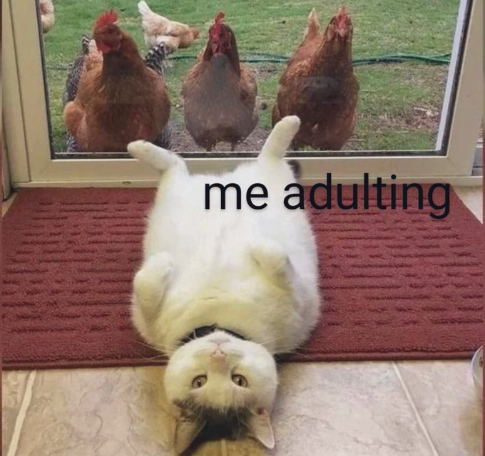 How&rsquo;s your day going ? https://t.co/dYnNHQZDCS<a href="/tag/cervicalcancerawarenessmonth"class="tags"><span>#cervicalcancerawarenessmonth</span></a>