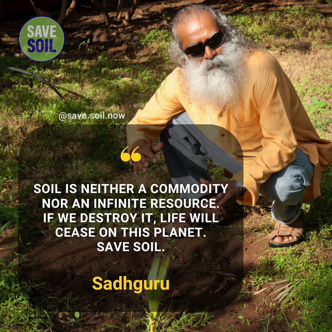 Exactly, it is time to consider its importance and revitalize it, for this it must contain at least 3 to 6% organic matter.
Action now: savesoil.org
#SoilHealth #GlobalSoilPartnership #Soils4Nutrition #SoilForClimateAction 
#SaveSoil
#ConsciousPlanet