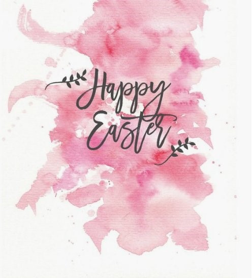 Vida Spa tweet media