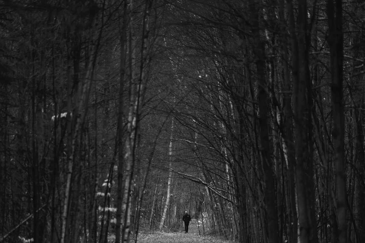 A man walks through the woods on a path near Slack Road in #Ottawa Wednesday. #spring #ottweather