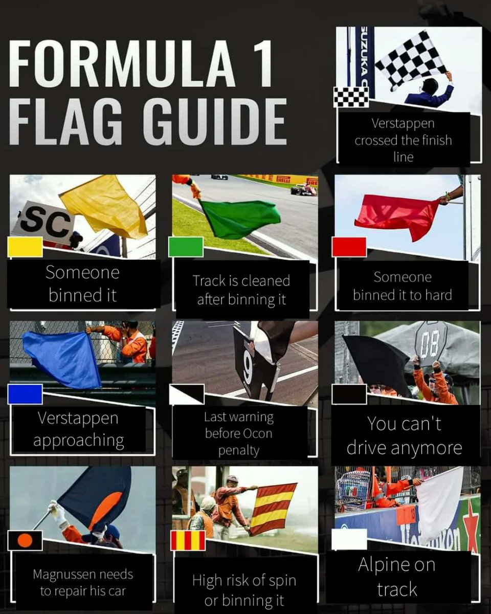 F1 flag guide