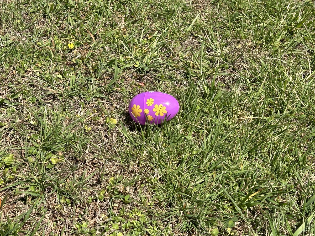 MCSHeadStart's tweet image. Hopping into Spring Break! We enjoyed an egg hunt and a visit from some-bunny special! 🐰 @McDowell590 @HeadStartgov @NCHeadStart