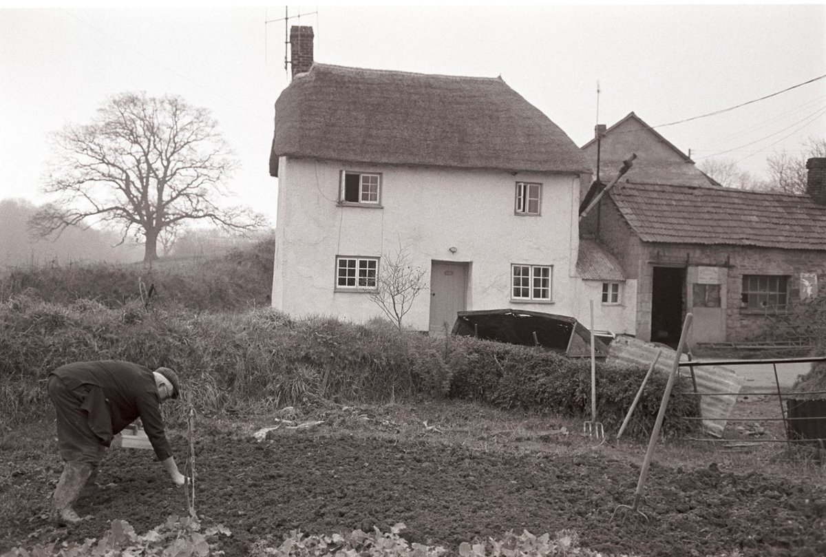 Jim Ellis planting onion sets, Bridge Reeve, Chulmleigh, March 1976 by James Ravilious (Beaford Arts) #Devon #ruralhistory 🏴󠁧󠁢󠁥󠁮󠁧󠁿