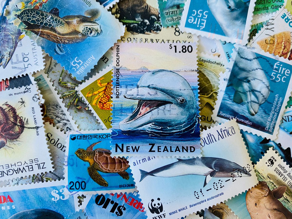 Restocked Packs - Animals (Aquatic) 🐬🐳🪼🦞🦐
simplypostagestamps.etsy.com/listing/154152… #aquatic #aquaticlife #aquaticanimals #stampcollection #stampcollector  #philatelycollectors #stamps #philatey #philatelic #mhhsbd #craftbizparty #earlybiz #postagestamps