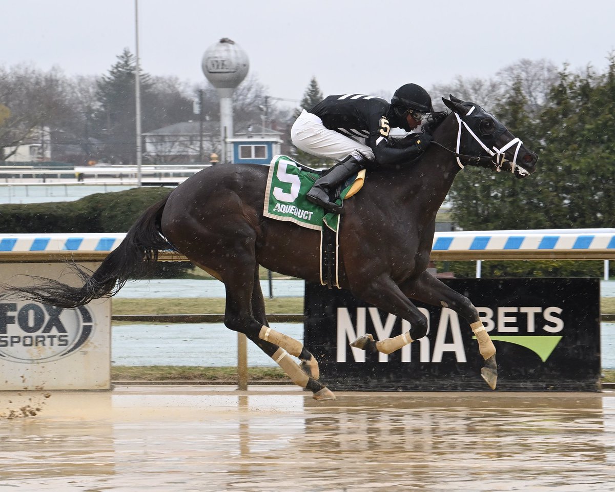 Value Area scored in the slop today @TheNYRA under a crafty @KendrickCarmou1 ride for @PletcherRacing. The More Than Ready filly o/o G1W Her Smile now 2 for 8 w 4 seconds & 2 thirds w Black Type and nearly $200-large in earnings. She’s classy and tough as nails! #EclipseFillies