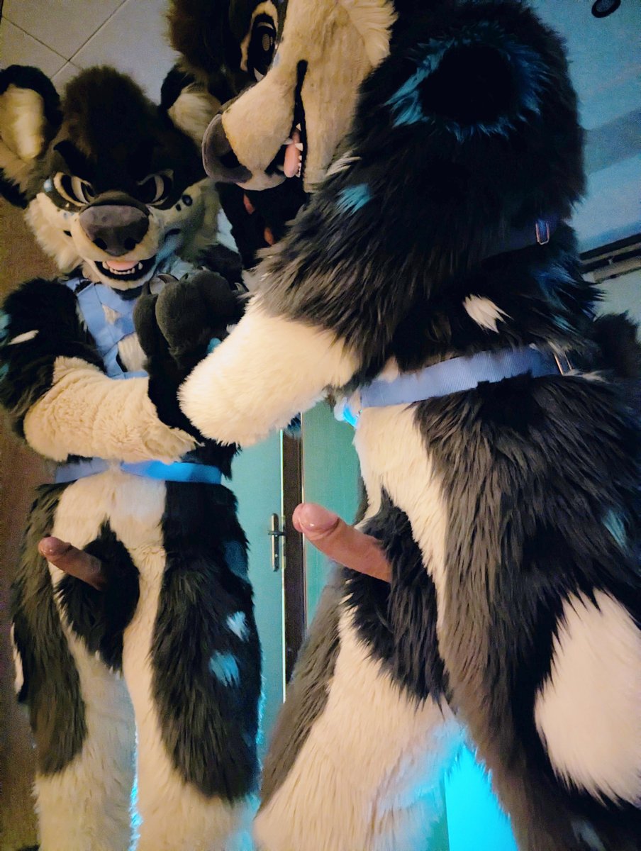 KawaTheHyeenAD 🇮🇹 🔜 NFC tweet media