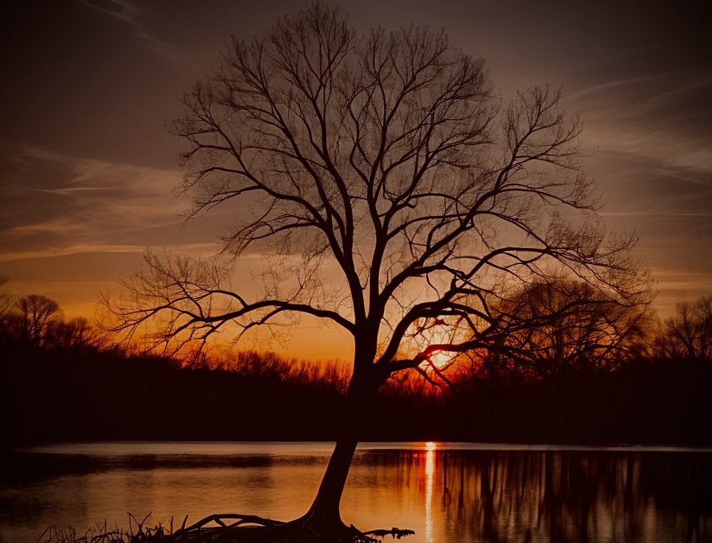 Ar ôl diwrnod arall o wynt a glaw trw’r dydd,fe ddaeth hi’n gwd erbyn heno diolch byth🙏🏻😃
Nos da x

After a day of wind and rain all day,it came good tonight thank goodness🙏🏻😃
Nos da x

Enjoy your evening ❤️