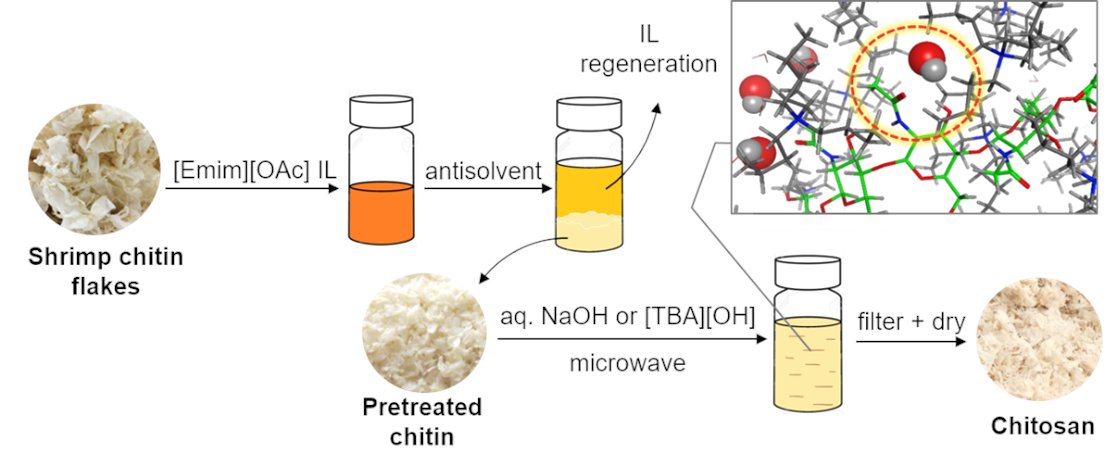 Take a look at the work by Van Minh Dinh et al. entitled 'Ionic liquid strategy for chitosan production from chitin and molecular insights' published #OpenAccess in #RSCSustainability: doi.org/10.1039/D4SU00…