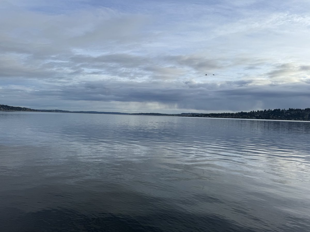 A view of Lake Washington during my morning walk #TheEmeraldCity