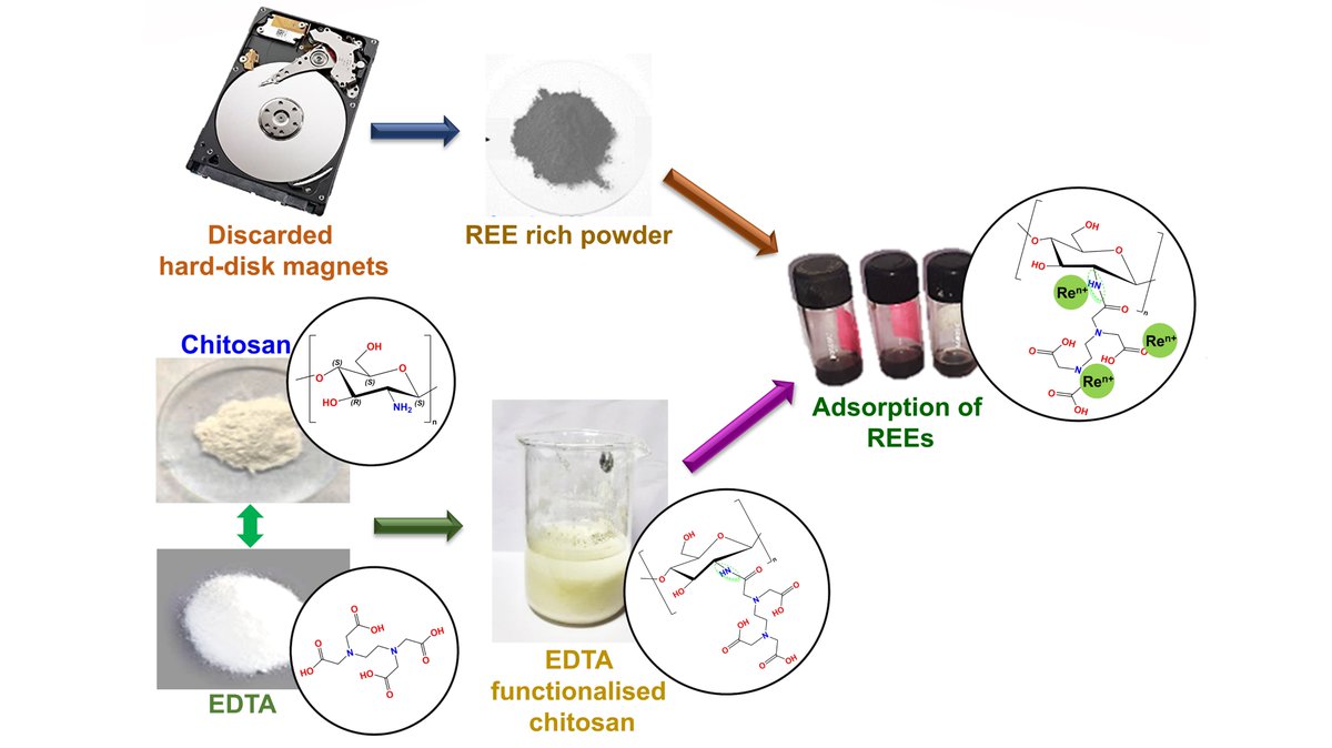 Our latest #OpenAccess article in #RSCSustainability by Shruti Srivastava et al. is online! Read about the recovery of rare earth elements from discarded hard disk magnets using EDTA functionalised chitosan here: doi.org/10.1039/D3SU00…
