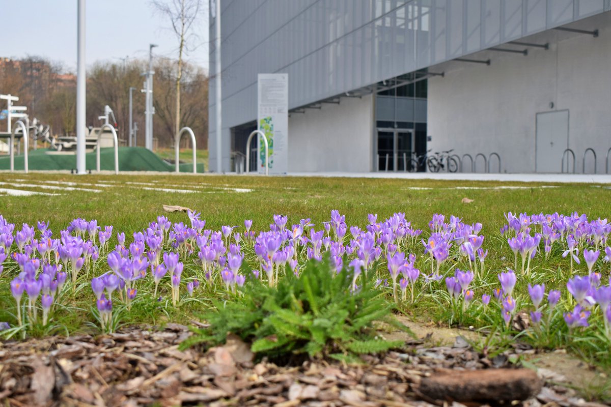 Nasz nowy adres to ul. Stella-Sawickiego 26.
Ulegnie zmianie, kiedy droga dojazdowa uzyska nową nazwę.
