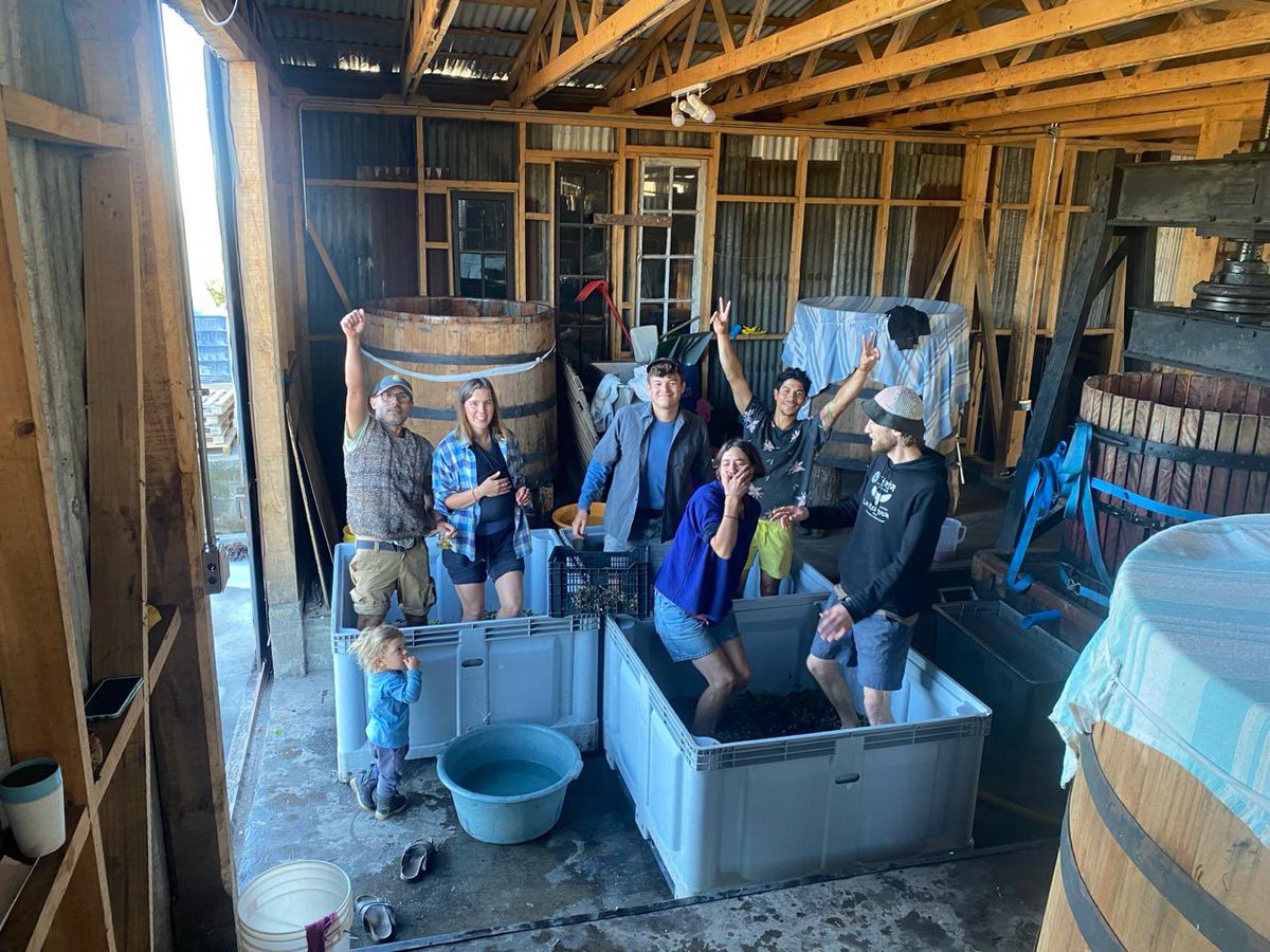 Con este equipo a todos lados 
Madreselva