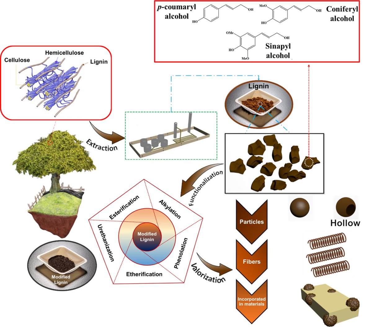 Read our latest #OpenAccess article by Rohan Shorey et al. highlighting the valorization of lignin for advanced material applications, published in #RSCSustainability: doi.org/10.1039/D3SU00…