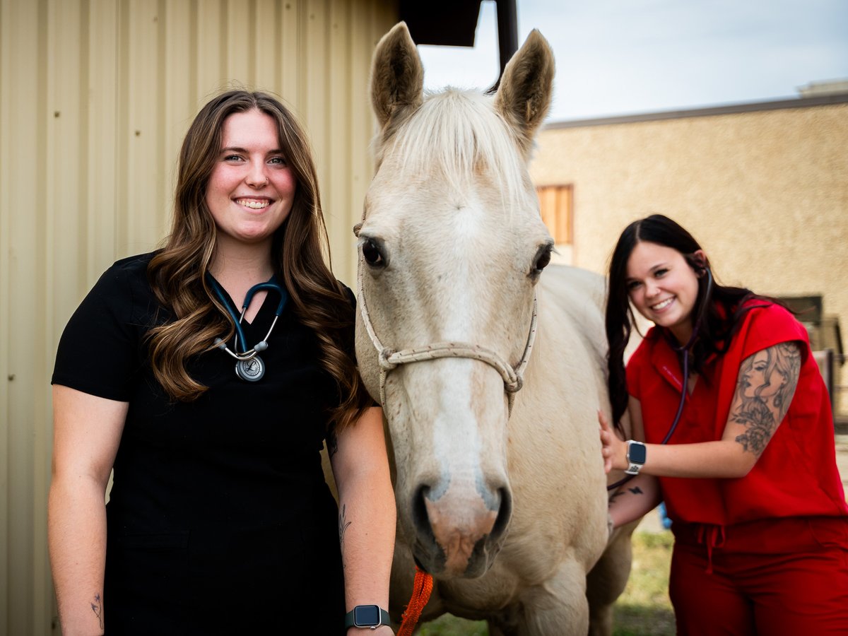 NWP is linking up with the Northernlink Agriculture, Home & Sport Show to showcase our #ProgramsThatWork! 🗺️ NWP Fairview Campus and Hockey Arena 📆 April 4-6 For full the details, visit ➡️ NWP.me/NorthernlinkFV #ExperienceNWP