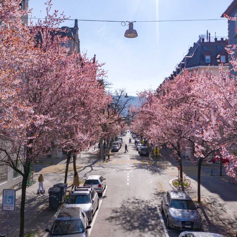 Happy Easter to all of you 🐰 We hope you have a nice weekend with lots of chocolate 🍫 If you‘re looking for tips for the long weekend, you can find great recommendations in our weekend tips post! #VisitZurich