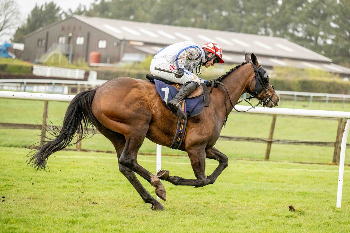 Race 2 - Live Streaming at @Yeeehaaabet Handicap Chase 🏆 Dreaming Blue 🥈 Valirann Gold 🥉 Clonddaw Robin Jockey: @gingell_freddie Trainer: @AJHoneyball Owner: R W Devlin