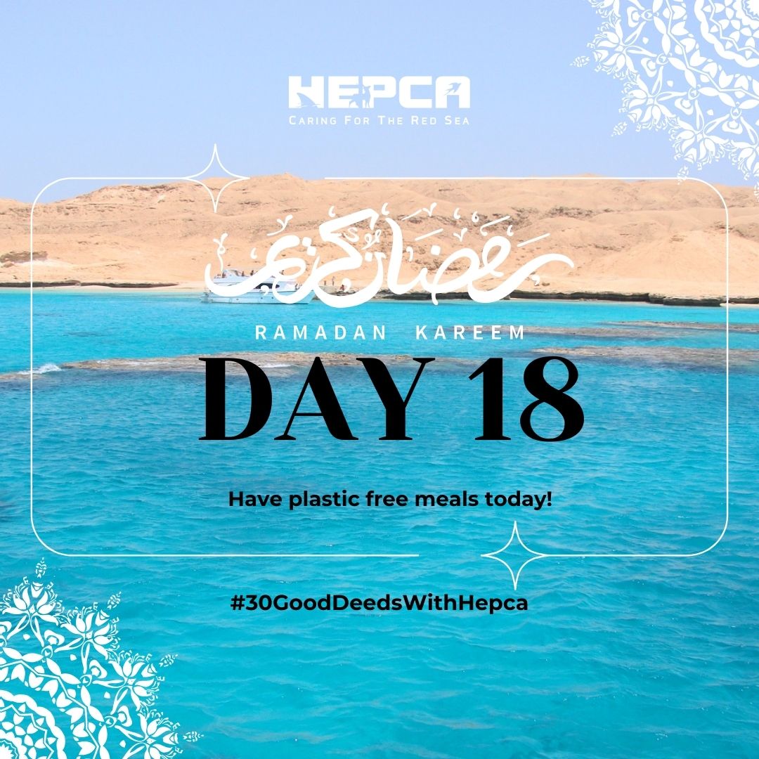 #30GoodDeedsWithHEPCA
Day 18

Ditch the plastic and pack a powerful punch!
Today's meal is all about zero-waste.

- small steps for a healthier planet! #PlasticFreeLunch #EcoFriendlyEating #HEPCA