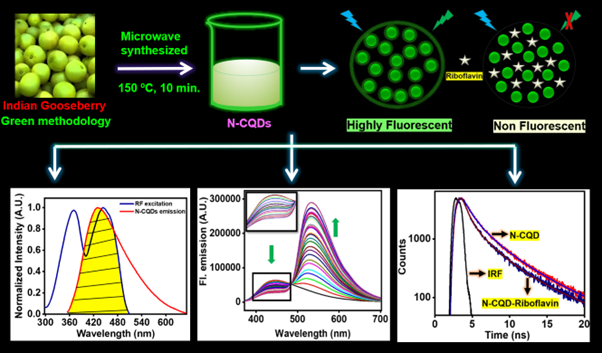 Recent #OpenAccess publication in #RSCSustainability by Mandeep Kaur et al. presents green transformation of biomass-derived Indian gooseberry into fluorescent intrinsic nitrogen-functionalized carbon quantum dots. Read here → doi.org/10.1039/D3SU00…
