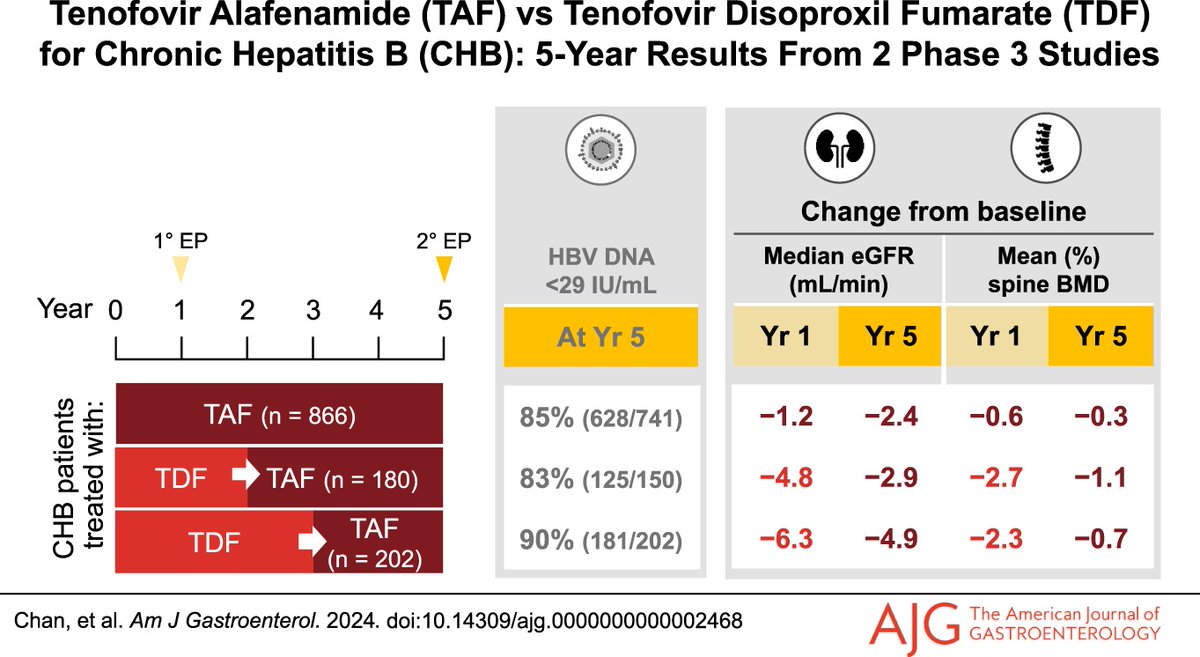 In the 📕#RedJournal: Long-Term Treatment With Tenofovir Alafenamide for Chronic Hepatitis B Results in High Rates of Viral Suppression and Favorable Renal and Bone Safety Chan, et al. 👉 bit.ly/3TTvcD9 @HenryLYChan @Mariabutif @drshalimar @WK_Seto