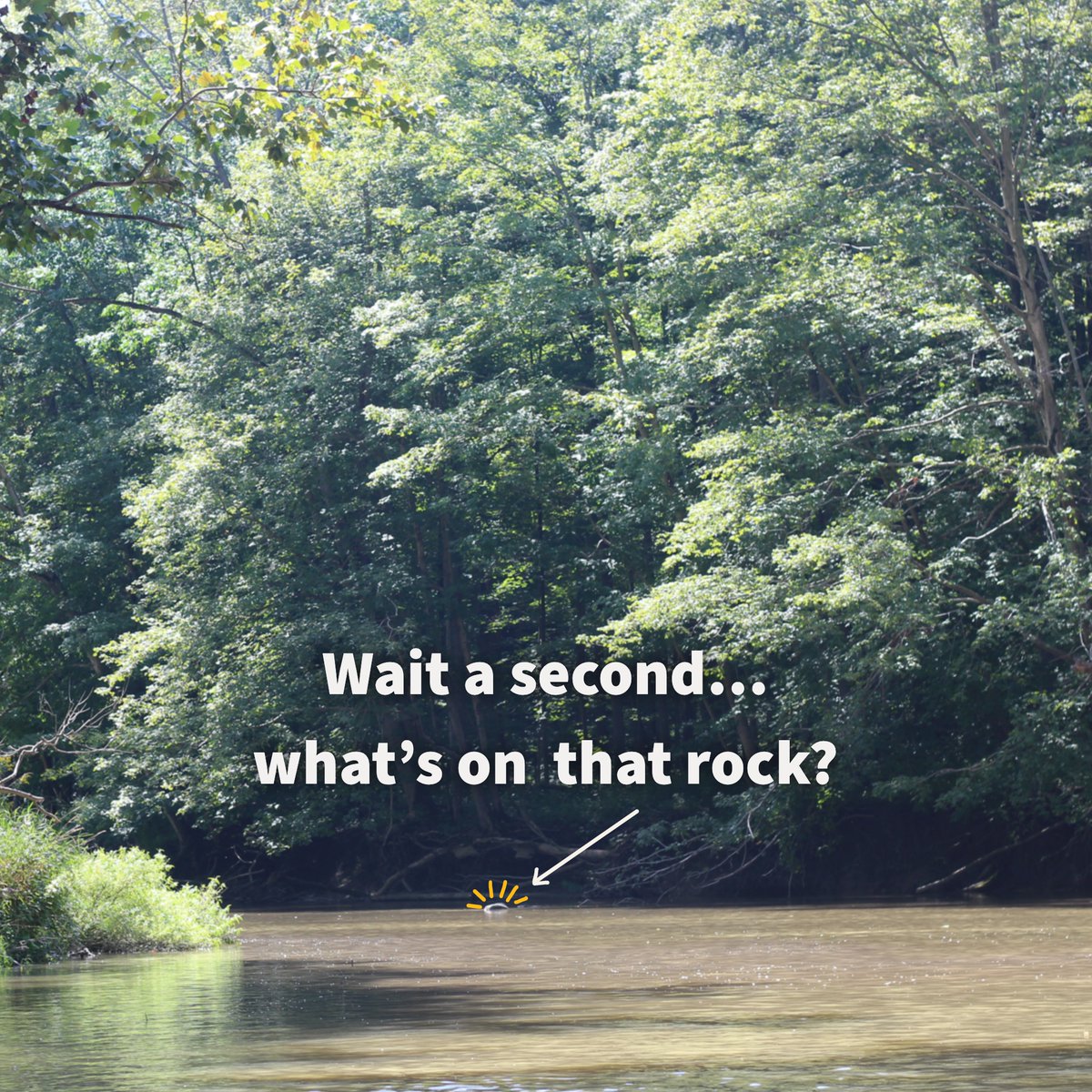 The Healthy Headwaters Lab tweet media