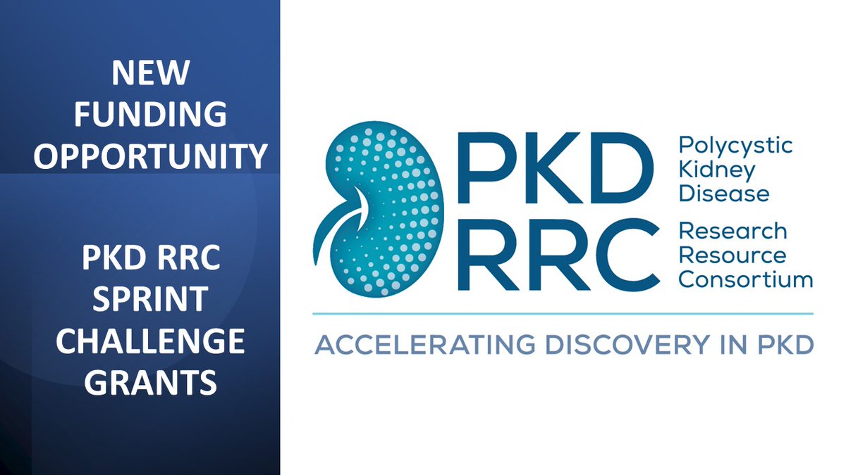 ANNOUNCEMENT! The PKD RRC is seeking to fund the development of new tools or reagents that will advance the study of Polycystic Kidney Disease. Application submission deadline is May 3, 2024. For more information visit the PKD RRC web site at pkd-rrc.org/pilot-and-feas…