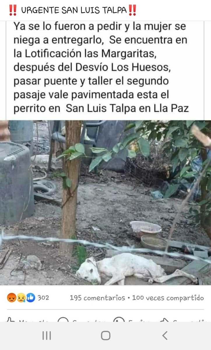 v_lopez02's tweet photo. @ibaelsalvador Pueden ayudar con este caso por favor, el los necesita https://t.co/8fTAMLDUAl