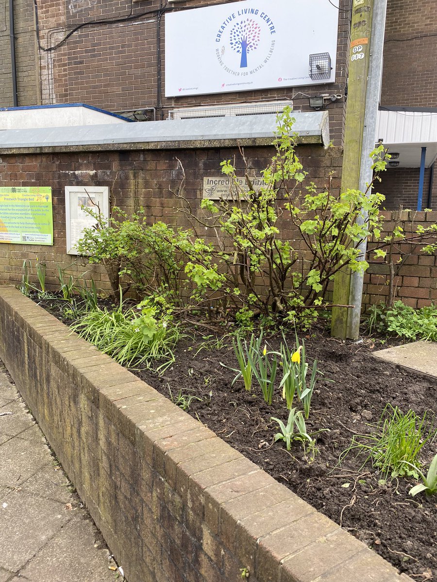 Mental Health Charity - Creative Living Centre (@creativelivingc) on Twitter photo Our members’ and volunteers hard work, supported by our friends at <a href="/Lancswildlife/">Lancashire Wildlife Trust</a> and @gmenvfund in cleaning out the triangle of garden next to our <a href="/CreativeLivingC/">Mental Health Charity - Creative Living Centre</a> building has transformed the area. Spring has sprung and it’s looking beautiful. 👍 #community Our members’ and volunteers hard work, supported by our friends at <a href="/Lancswildlife/">Lancashire Wildlife Trust</a> and @gmenvfund in cleaning out the triangle of garden next to our <a href="/CreativeLivingC/">Mental Health Charity - Creative Living Centre</a> building has transformed the area. Spring has sprung and it’s looking beautiful. 👍 #community