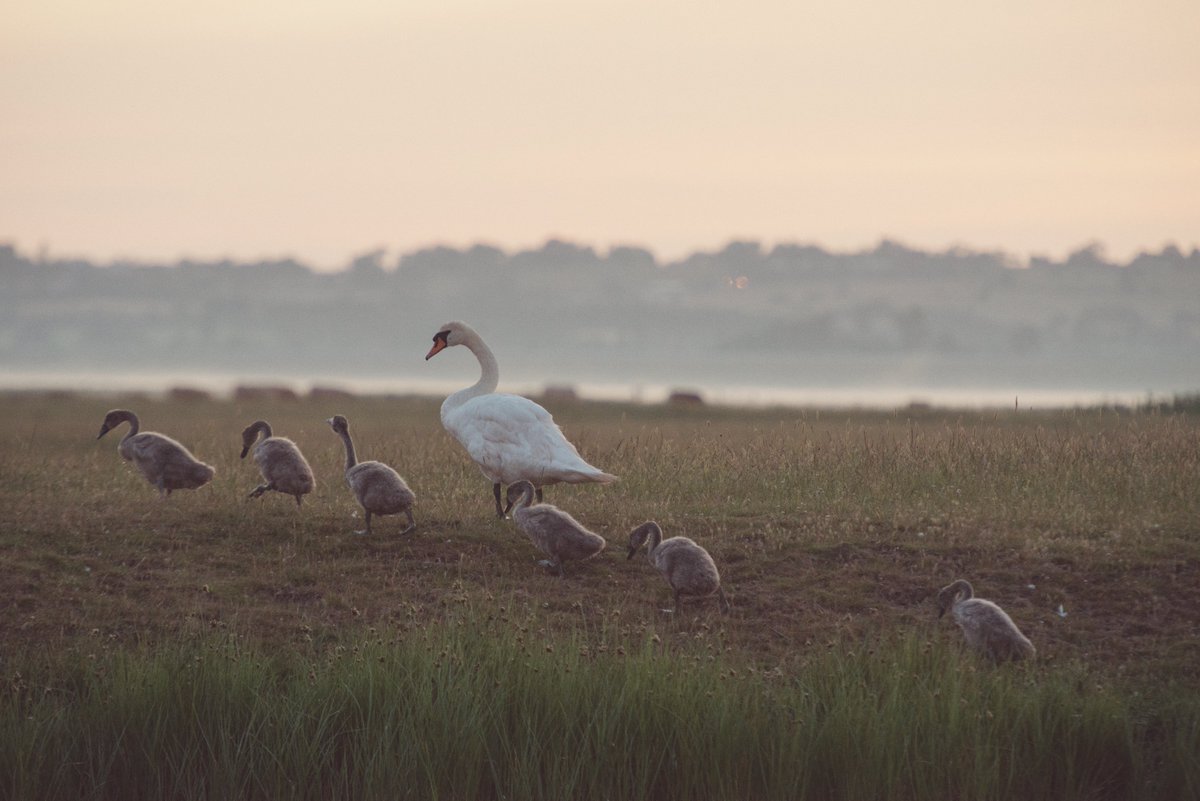 Wake up to the gentle sounds of nature in your very own hide. Our cosy huts are the perfect spot to enjoy birdwatching from bed. Enjoy the wildlife at dusk and dawn, long wanders on the Reserve, food delivered to your hut and bathtub soaks in the wild. Book your escape now.