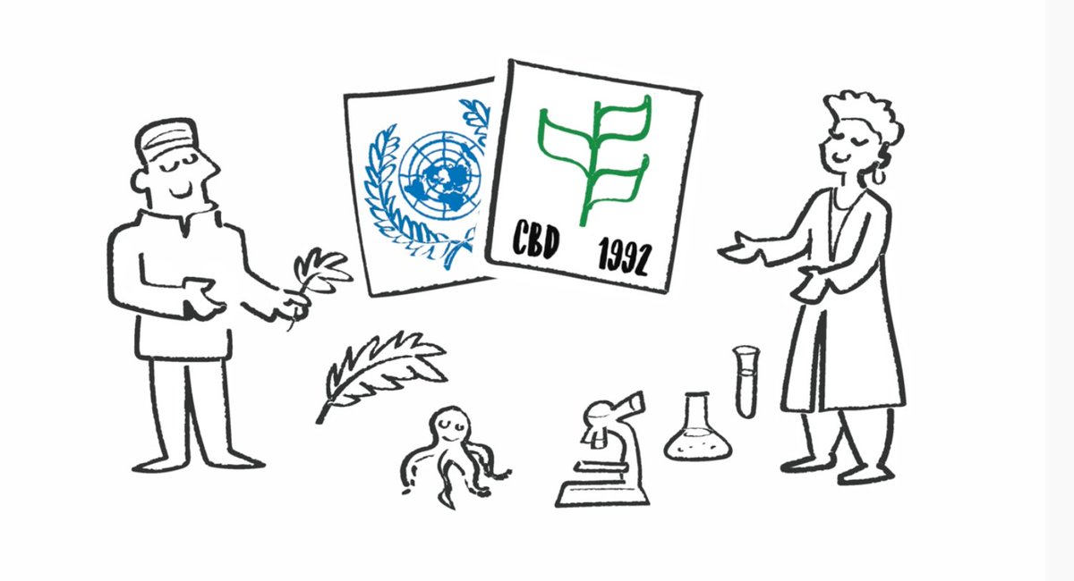 What is #AccessAndBenefitSharing? How can we ensure that all stakeholders have #theABSweALLneed?

In an animated video, @phytotrade, @ethicalbiotrade & @undpabs highlight their strategic partnership & the importance of ABS.

Watch on Youtube ⬇️
youtube.com/watch?v=4hu1Kt…