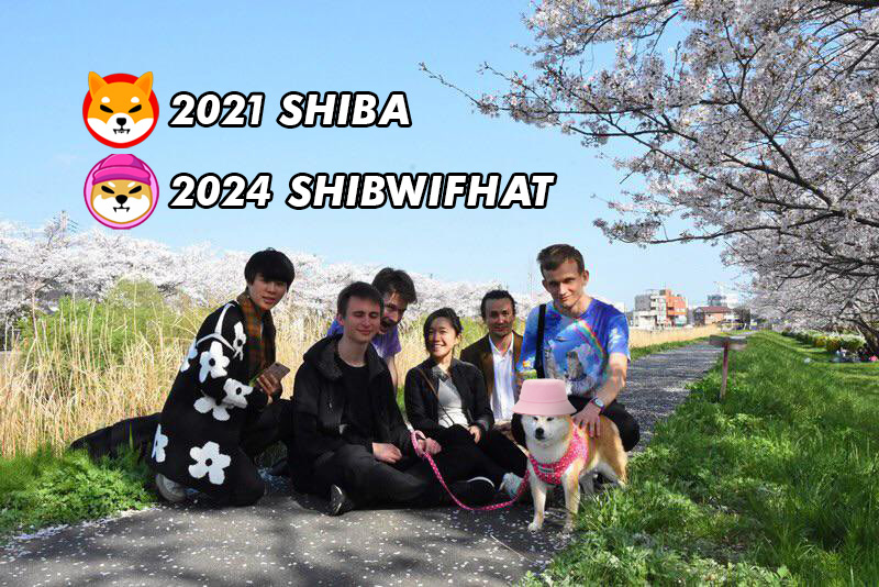 SHIBWIFHAT ARMY tweet media