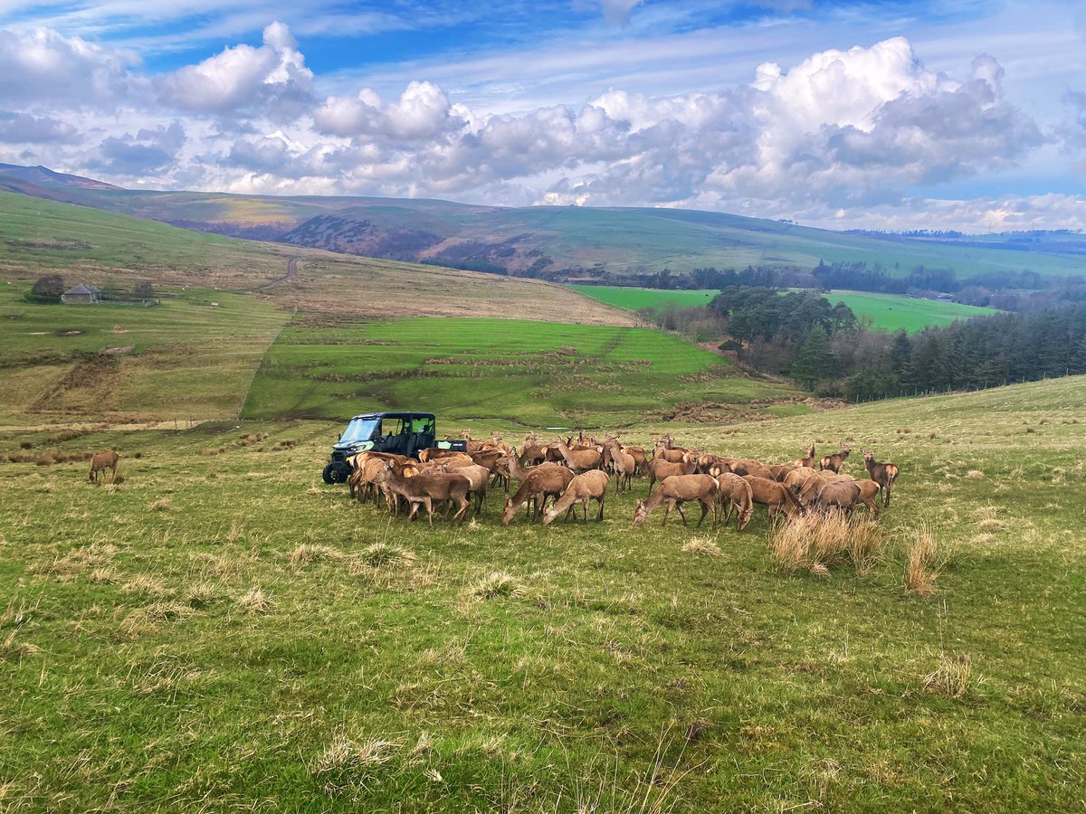 Look at that beautiful landscape. Hands up if you love Northumberland ❤️💛❤️💛

#wild #rugged #countryside #northumberland #beautiful #northeast #northeastengland