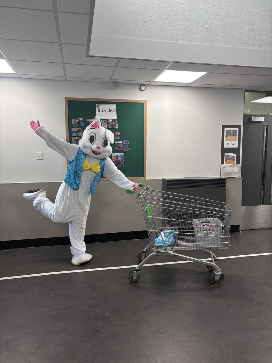 Gillian Stewart (@missstewartpe) on Twitter photo It’s me, hi, I’m the bunny it’s me 🙋🏼♀️ delivering chocolate eggs and Easter treats to all of our young people and staff 🍫 <a href="/AshtonSecondary/">AshtonSecondary</a> It’s me, hi, I’m the bunny it’s me 🙋🏼♀️ delivering chocolate eggs and Easter treats to all of our young people and staff 🍫 <a href="/AshtonSecondary/">AshtonSecondary</a>