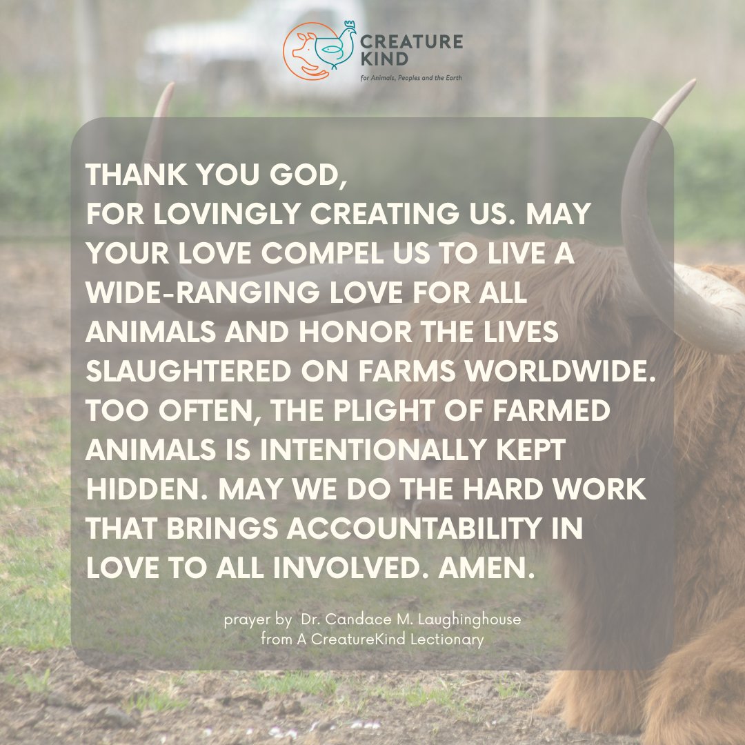 Reflecting on the layers of meaning this Holy Week brings. Maundy Thursday holds a profound commandment: to love one another as Christ loved us.
⁠
You can find this prayer and more Lenten reflections on The CreatureKind Lectionary. Download your copy: tinyurl.com/54nazx8n
⁠