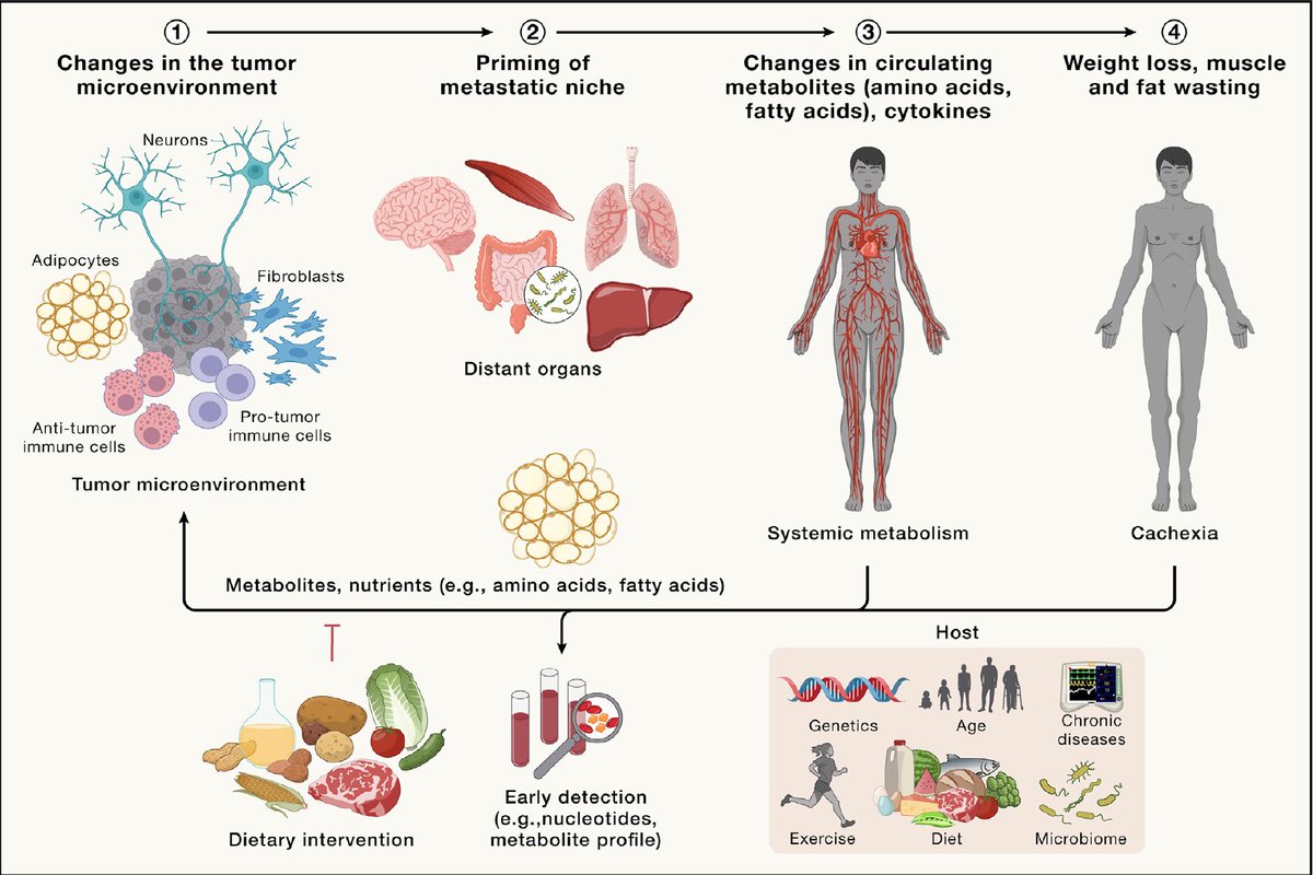 A comprehensive 5★ perspective/review on cancer as a complex, systemic disease with all the hallmarks cell.com/cell/fulltext/… @CellCellPress by @CharlesSwanton and colleagues