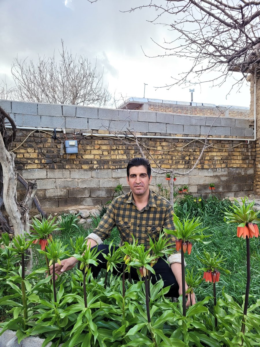 As a Horticulturist and Botanist, I really enjoy adapting and propagating wildflowers. Today, Shiraz, Iran