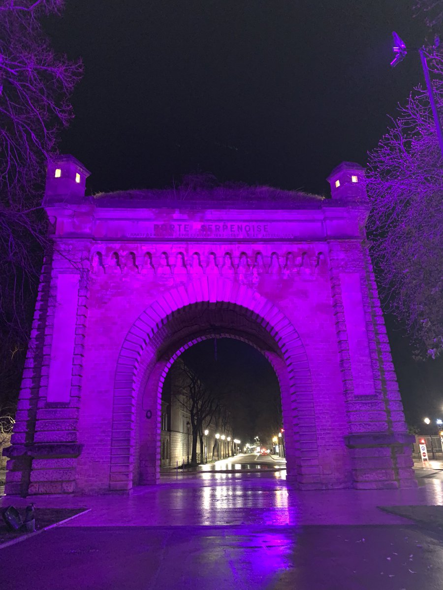 I spoke with my local council to have municipal buildings lit up purple in recognition of @PurpleDay 🟣Here is the famous Porte Serpenoise highlighted for #PurpleDay2024💟 #Epilepsyambassador #EpilepsyVoices #epilepsyawareness #seizure #braindisease #mydaughtermylife #caregiver