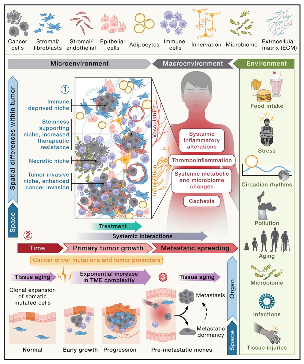 'Embracing #cancer complexity: Hallmarks of systemic disease' It was a privilege to contribute to this #Cell review, with an incredible group of scientists! Our forward-looking perspective ⬇️ - incl. the #tumor #microenvironment as a critical target 🎯 cell.com/cell/fulltext/…