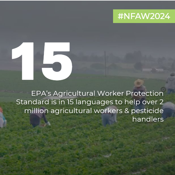 #DYK EPA’s Agricultural Worker Protection Standard (WPS) offers protection to over 2 million agricultural workers & pesticide handlers! Find WPS resources in 15 languages: epa.gov/pesticide-work… #NFAW2024