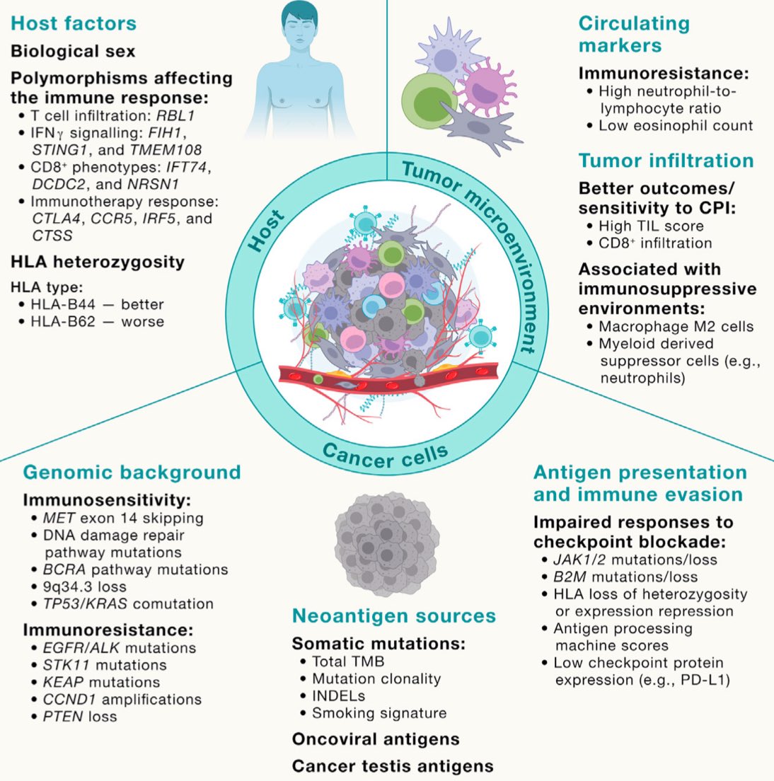 🚀 Excited to announce our latest @CellCellPress publication on 'Cancer biomarkers: Emerging trends and clinical implications for personalized treatment.' An important collaboration shedding light on promising avenues in cancer research.📑✨ sciencedirect.com/science/articl…