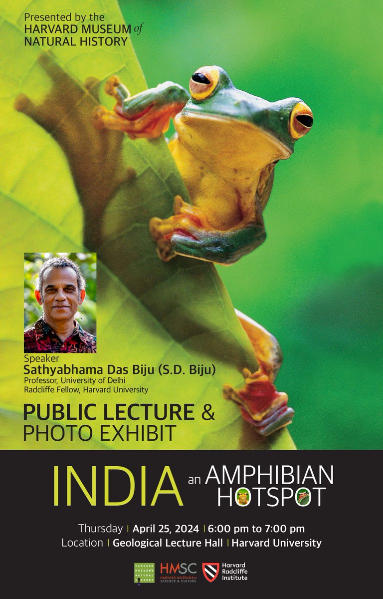 Will be delivering a public lecture at @HarvardMuseum of Natural History on 25 April 2024, along with opening of a frog photo exhibit. @UnivofDelhi @HarvardOEB @MCZHarvard hmsc.harvard.edu/calendar_event…