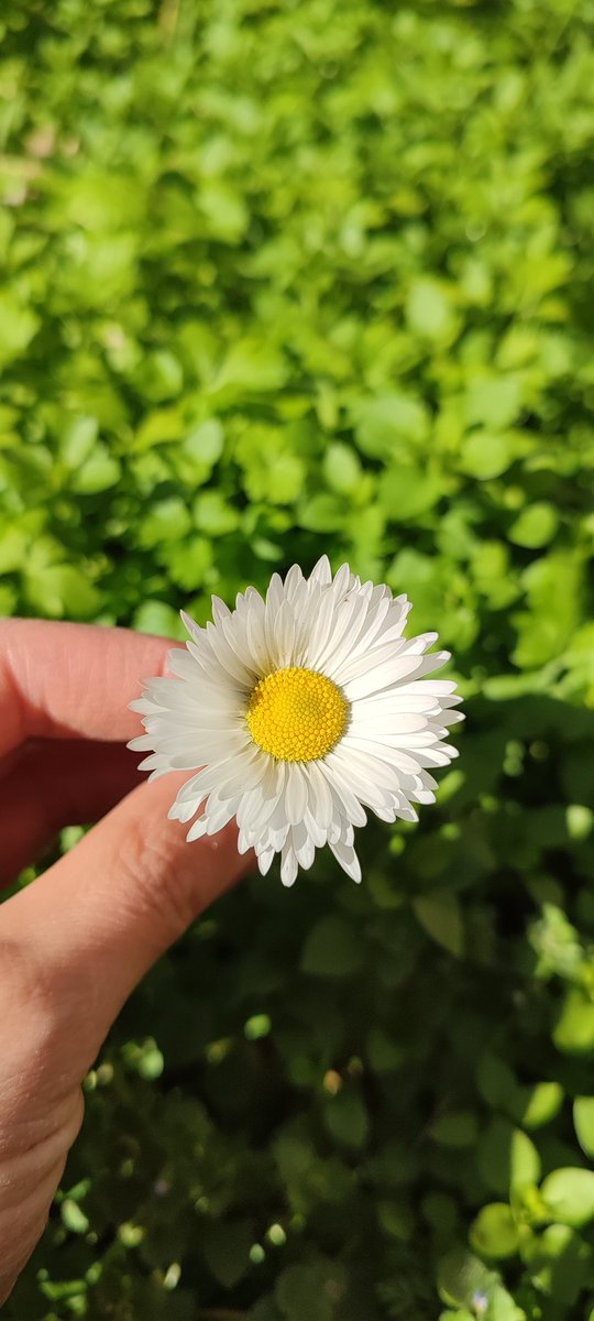 Bazı hesapların akışlarına mutlaka hergun bakıyorum 🤣 Hoşuma gidiyor ama sorun şu ki beğeni yapmayı unutuyorum 😂 #iyiakşamlar #persembe #mutluaksamlar