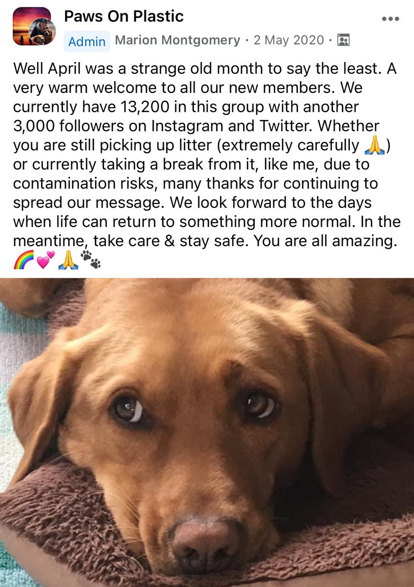 Randomly found this post. It shows how far our charity has grown in the last 4 years. 

We now have 26,000 members &amp; followers across FB, Insta, X &amp;  LinkedIn-10,000 more than this time 4 years ago! (doubled our numbers as in Jan 2020 we’d 13,000) A huge thanks to all! #dogsofx