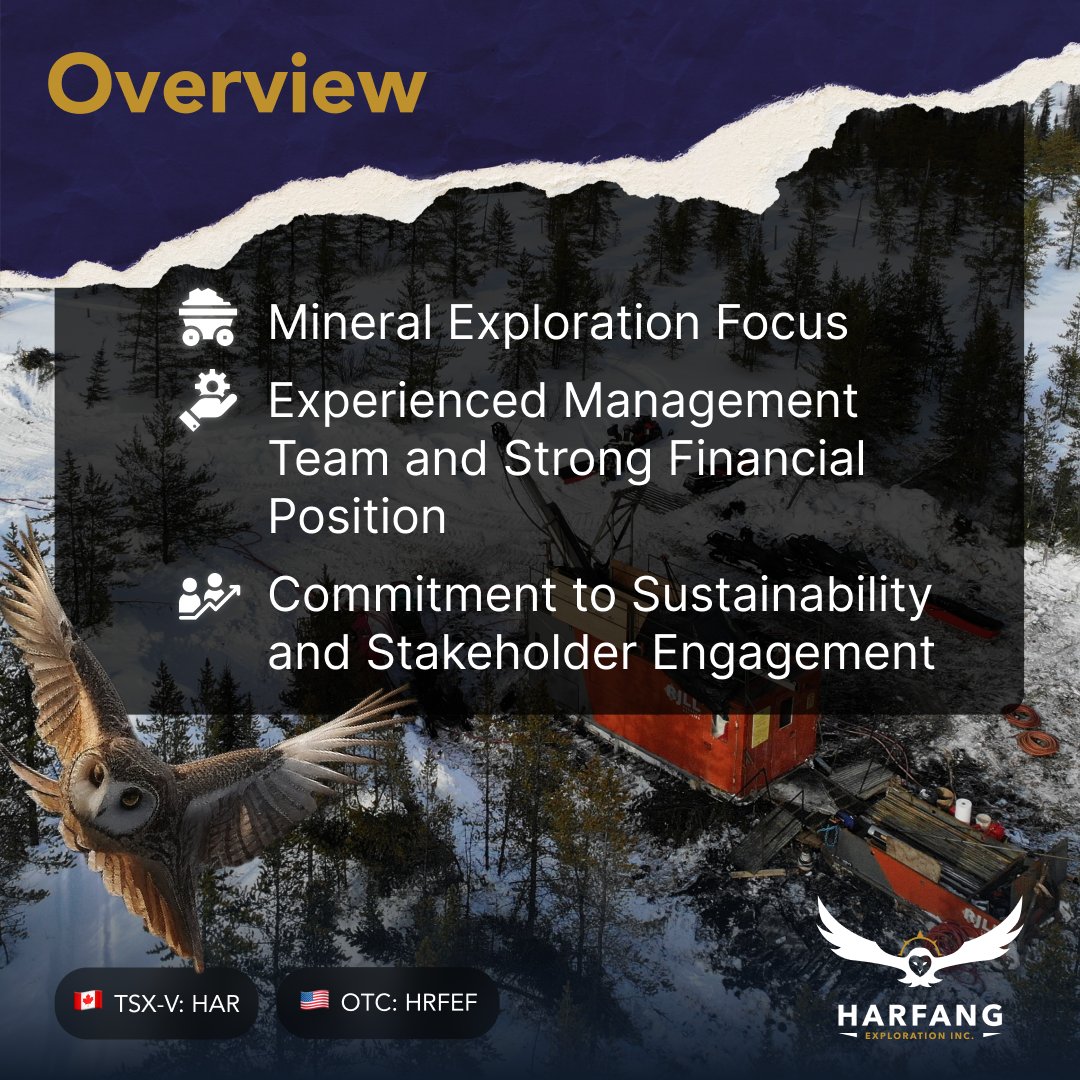 For those who might be new here, we are a dynamic mineral exploration company with a core mission: to unearth valuable resources like lithium, gold, and other essential metals in the regions of Québec and Ontario. 

At the helm of our operations is a proficient team of experts,