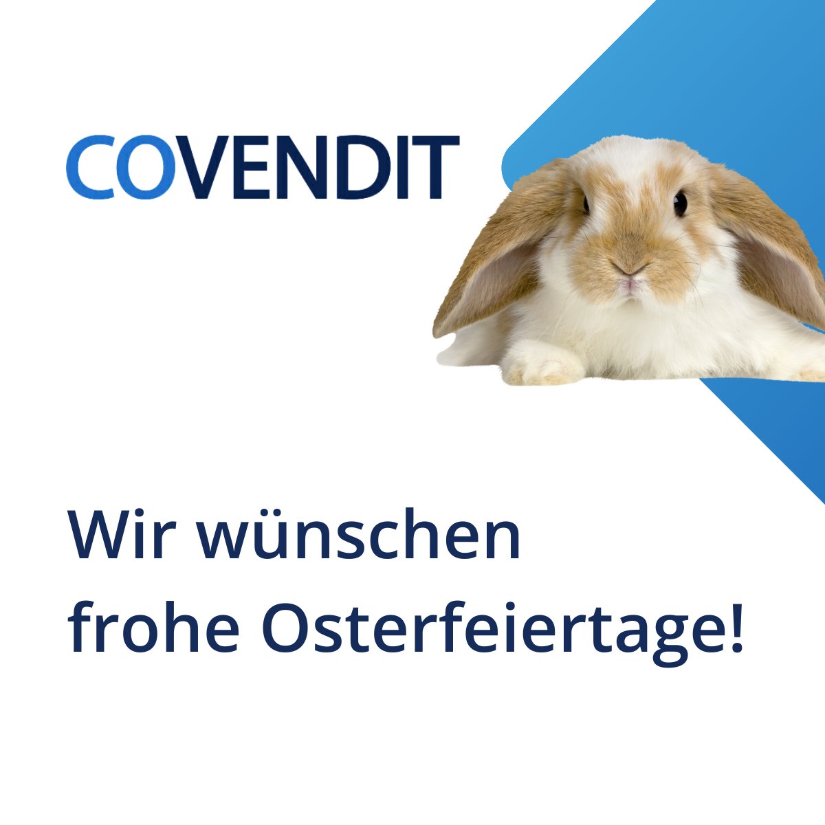 Ein spannendes erstes Quartal mit mehreren erfolgreichen Deals geht zu Ende (more to be announced)! Zeitgleich starten einige neue Projekte.

Wir wünschen schöne Ostern und freuen uns auf die weitere Zusammenarbeit mit Ihnen!

covendit.de